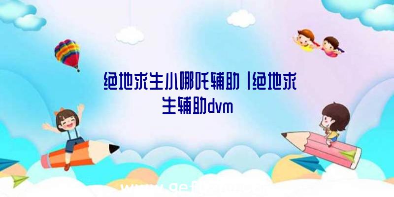 「绝地求生小哪吒辅助」|绝地求生辅助dvm